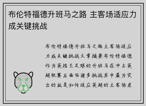 布伦特福德升班马之路 主客场适应力成关键挑战 布伦特福德升班马之路 主客场适应力成关键挑战